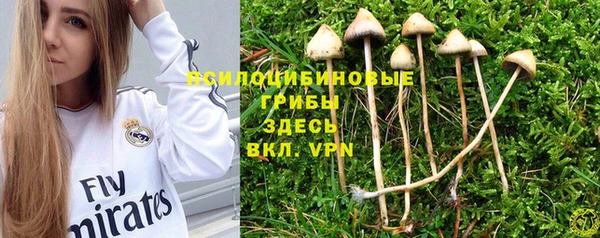 наркотики Алексин